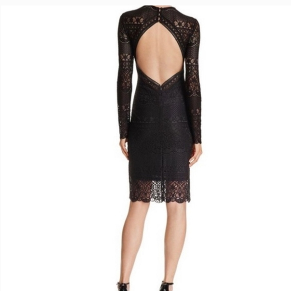 Bardot Lennie Lace Dress 8 NWT - Picture 9 of 11